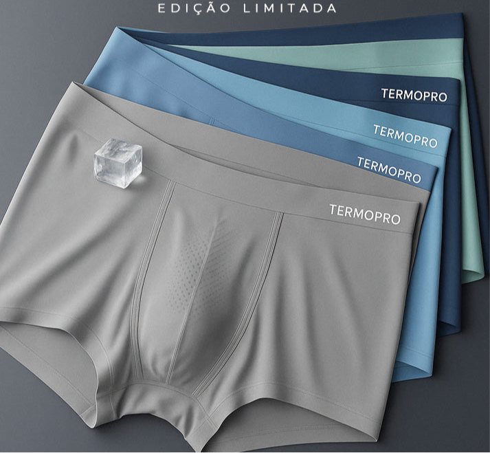 TermoPro™ – Cueca de Seda Térmica com Toque Gelado (Kit com 5 Unidades)