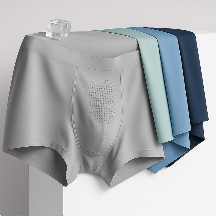 TermoPro™ – Cueca de Seda Térmica com Toque Gelado (Kit com 5 Unidades)