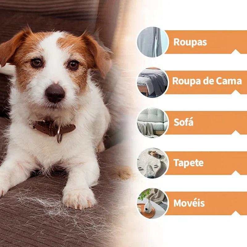 Simplifique sua vida e mantenha sua casa sempre limpa - PetClean