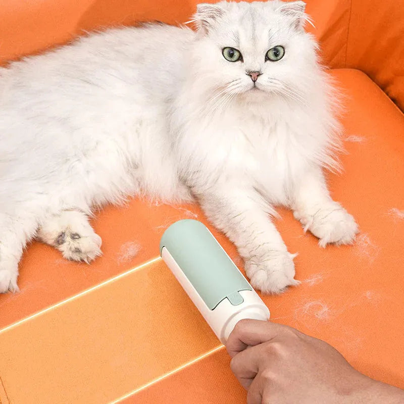 Simplifique sua vida e mantenha sua casa sempre limpa - PetClean