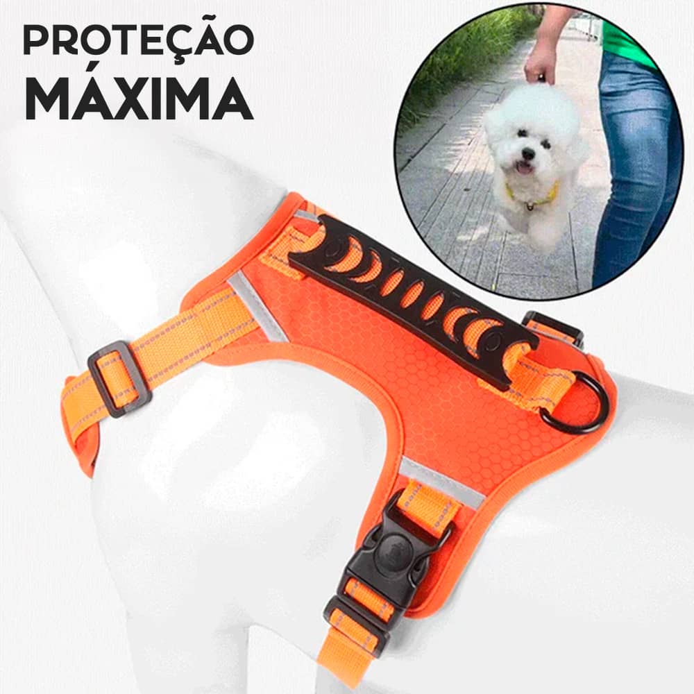 Controle, Conforto e Segurança em Um Só Produto - ArnêsPro